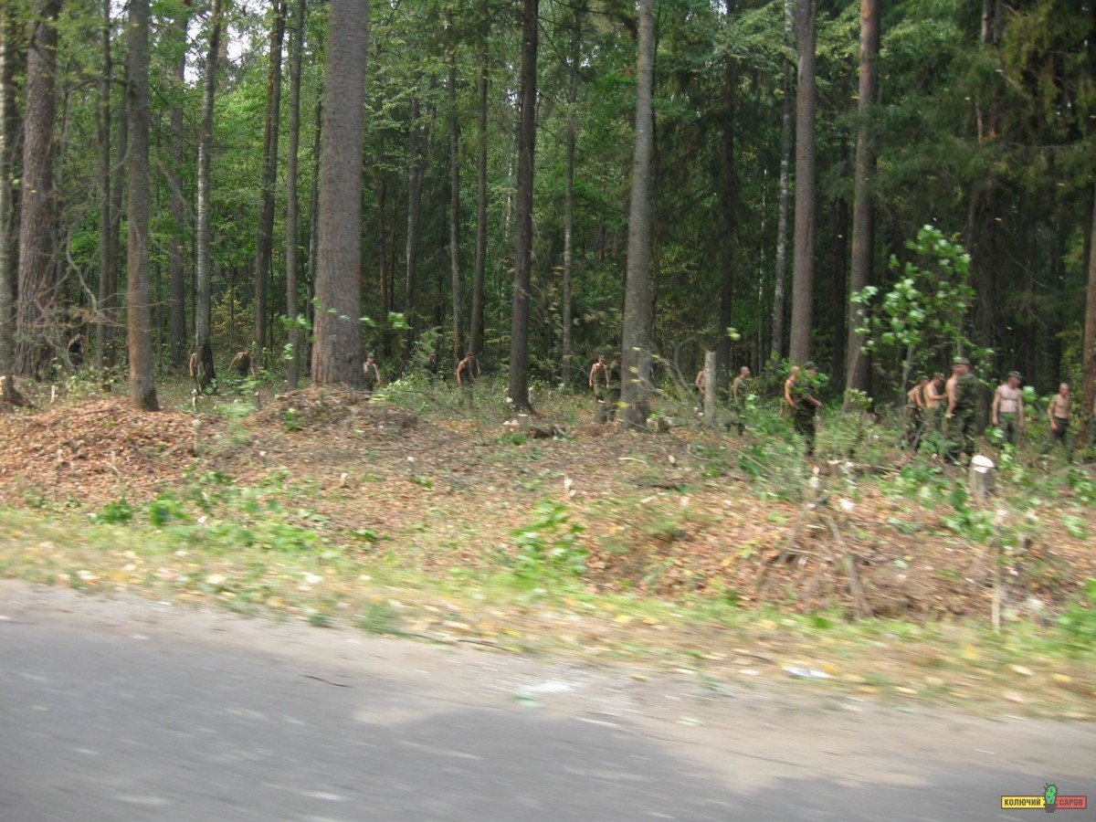 Resize of IMG_0050.JPG