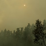 P1015233.JPG