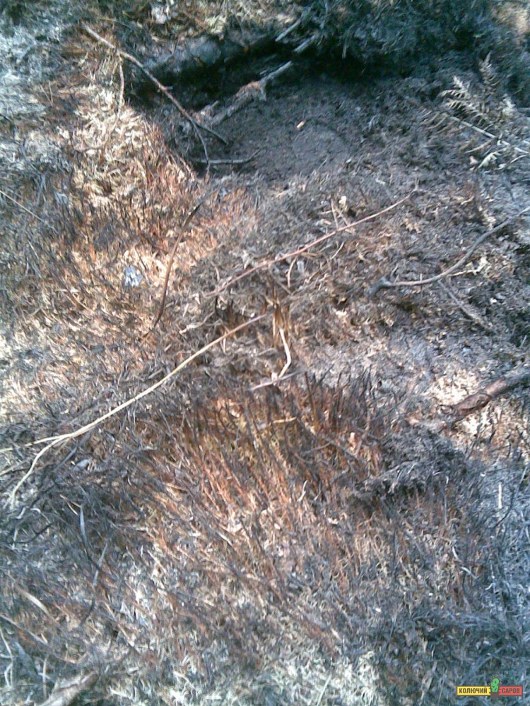 05082010_012_.jpg