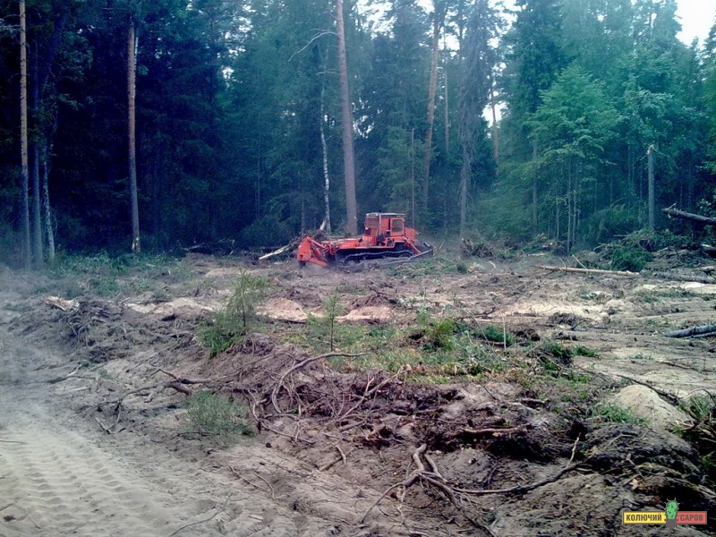 05082010075.jpg