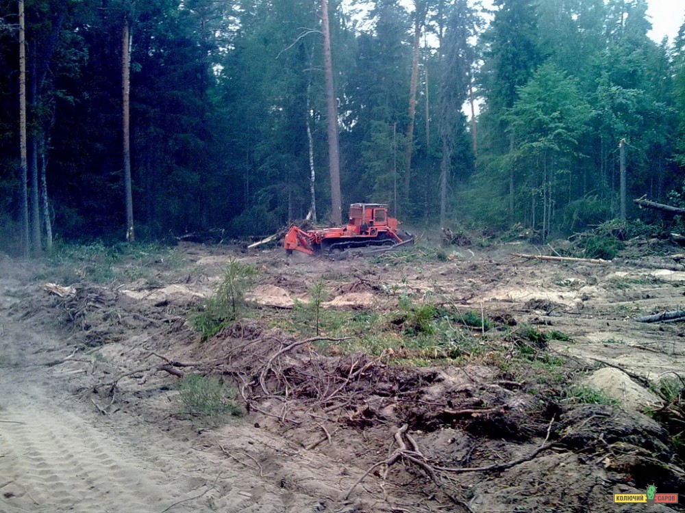 05082010075.jpg
