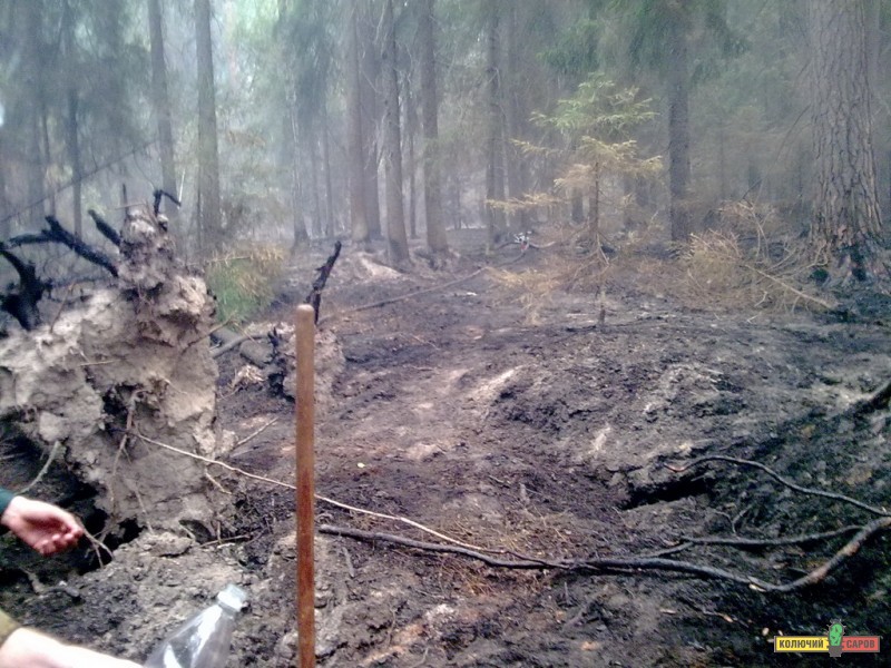 05082010082.jpg