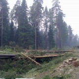 05082010133.jpg