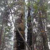 DSC00585.JPG