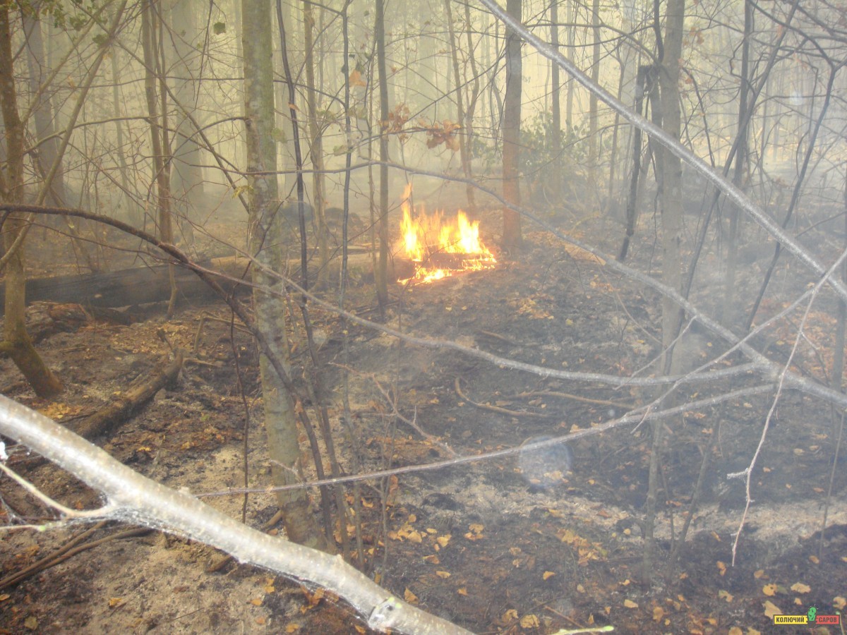 DSC00587.JPG