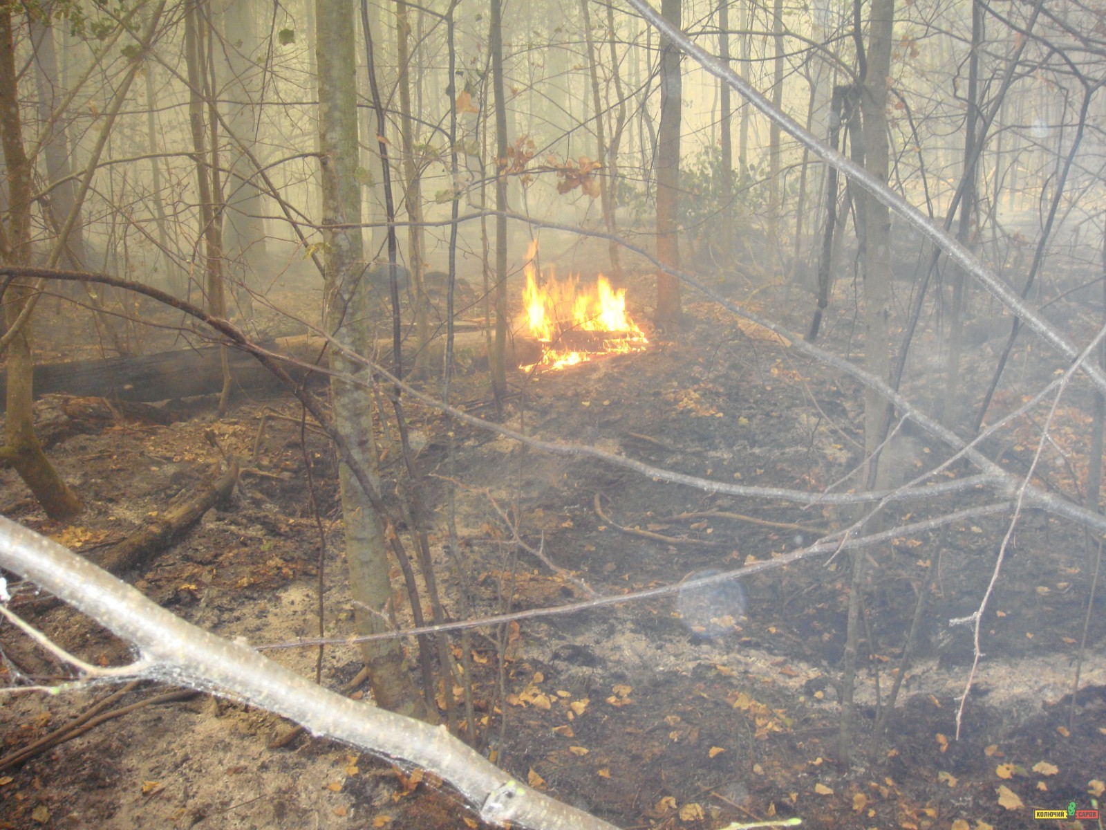 DSC00587.JPG