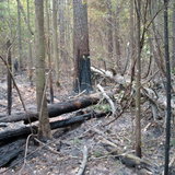 DSC02726.jpg