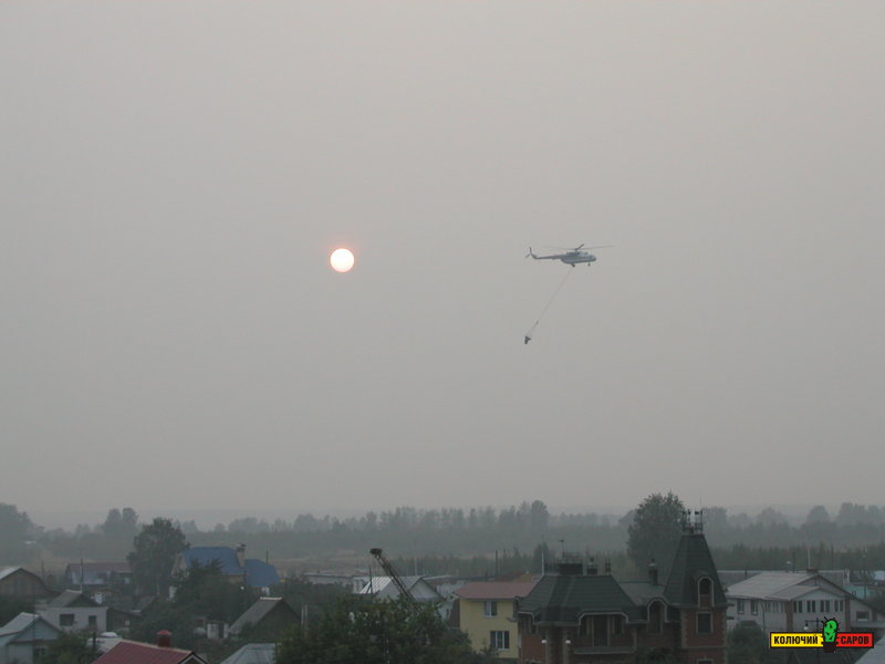 P1010008.JPG