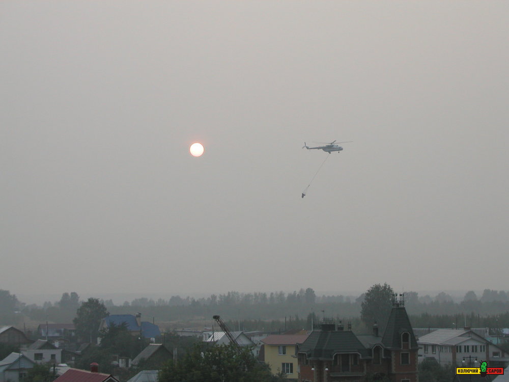 P1010008.JPG