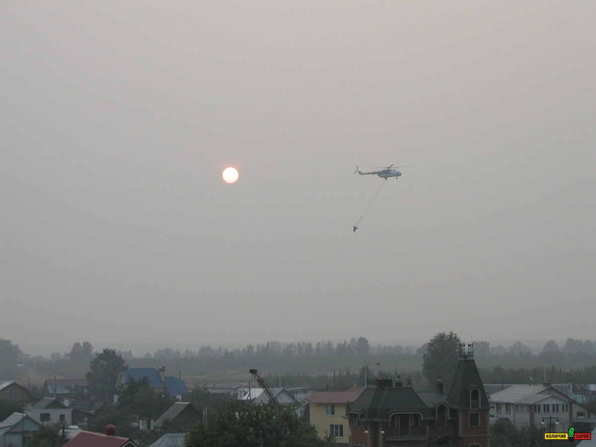 P1010008.JPG