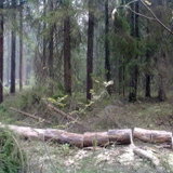13082010149.jpg