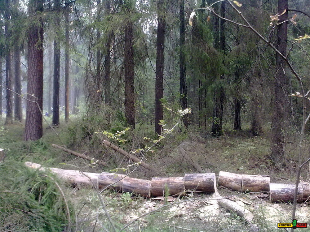 13082010149.jpg