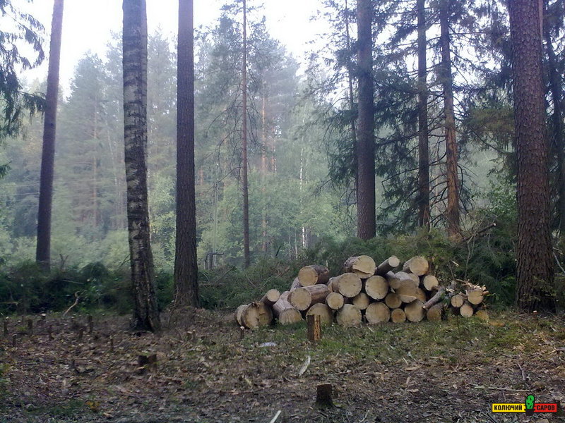 13082010150.jpg