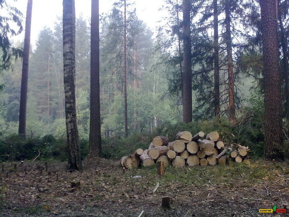 13082010150.jpg