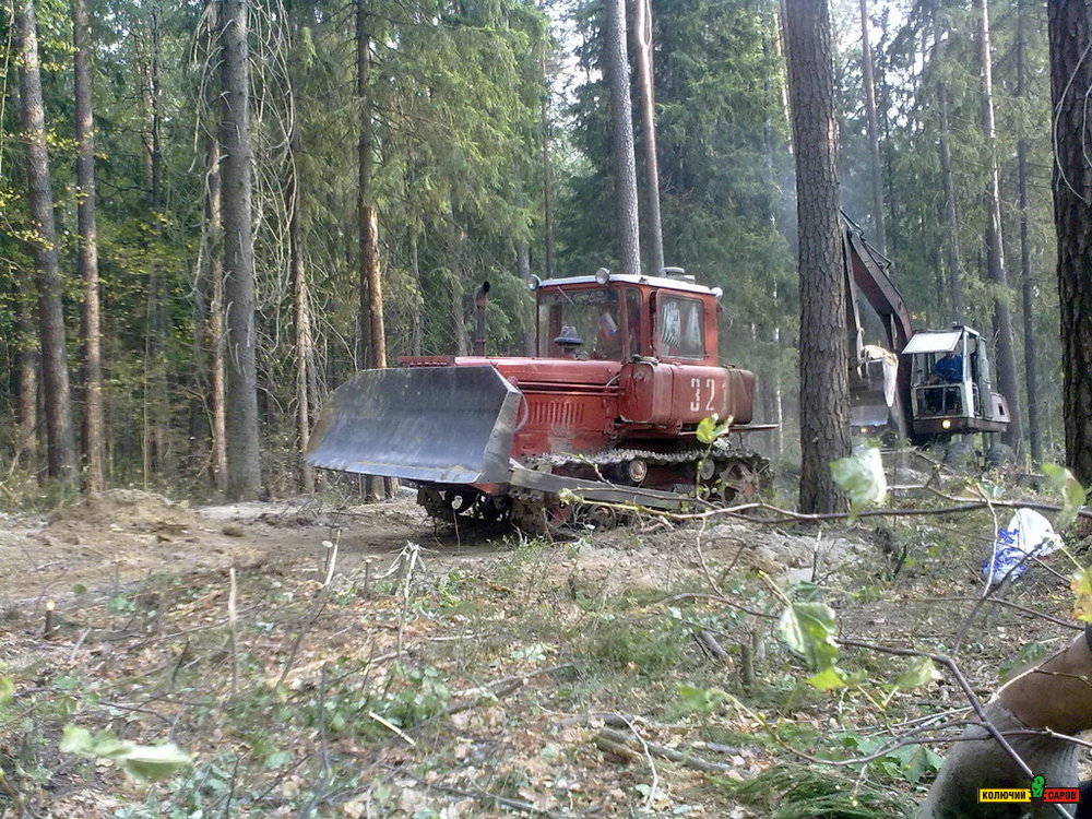 13082010173.jpg