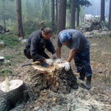Насчитали примерно 130 лет