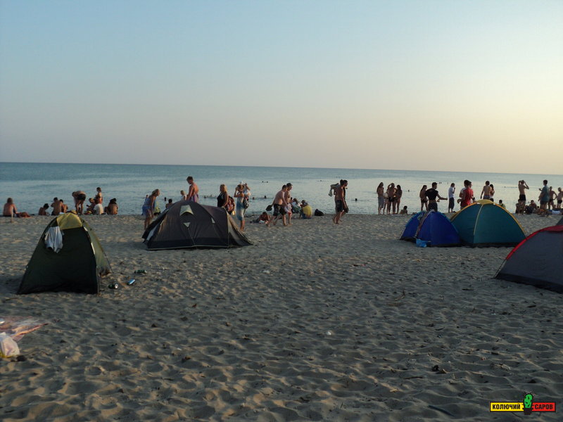 DSC00766.JPG