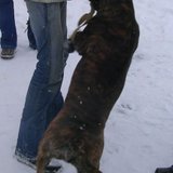 DSCN9207