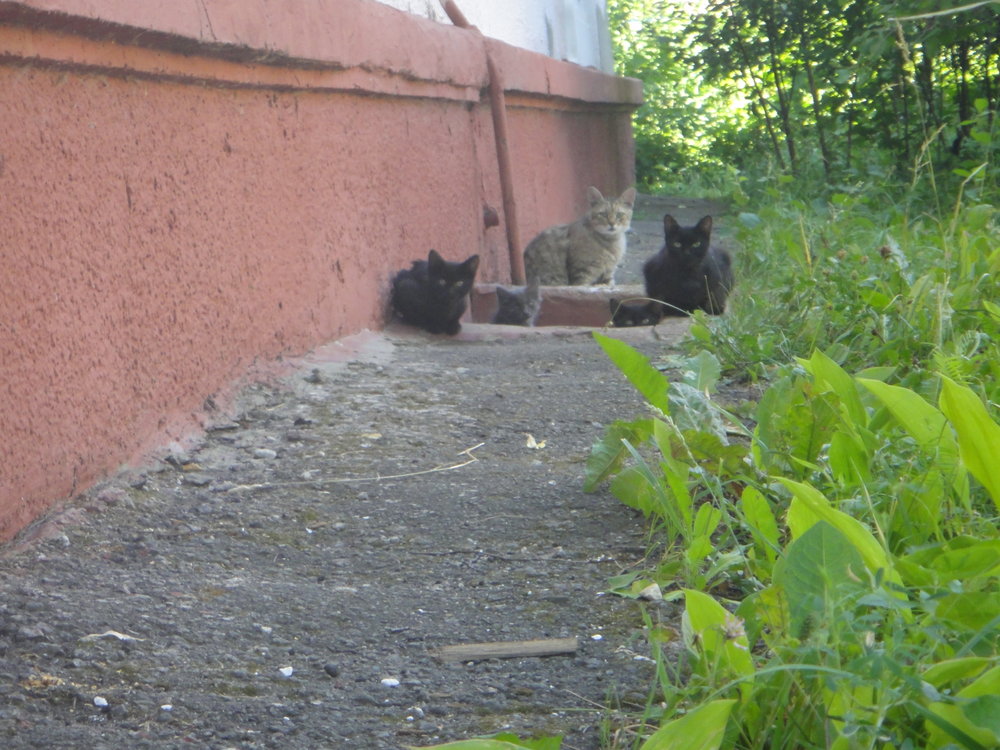 и все-таки тебя видно...