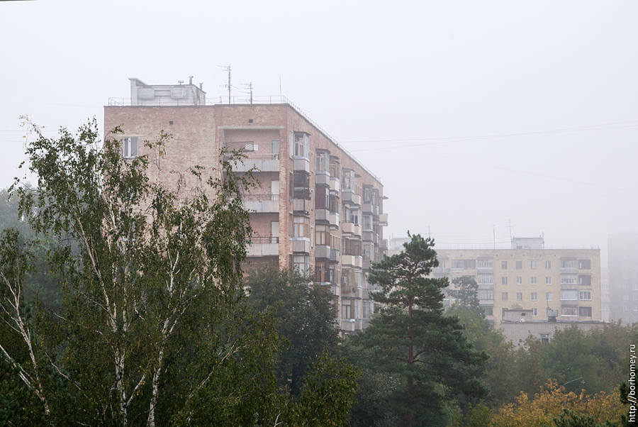 Туман в Сарове, конец августа 2012 г.