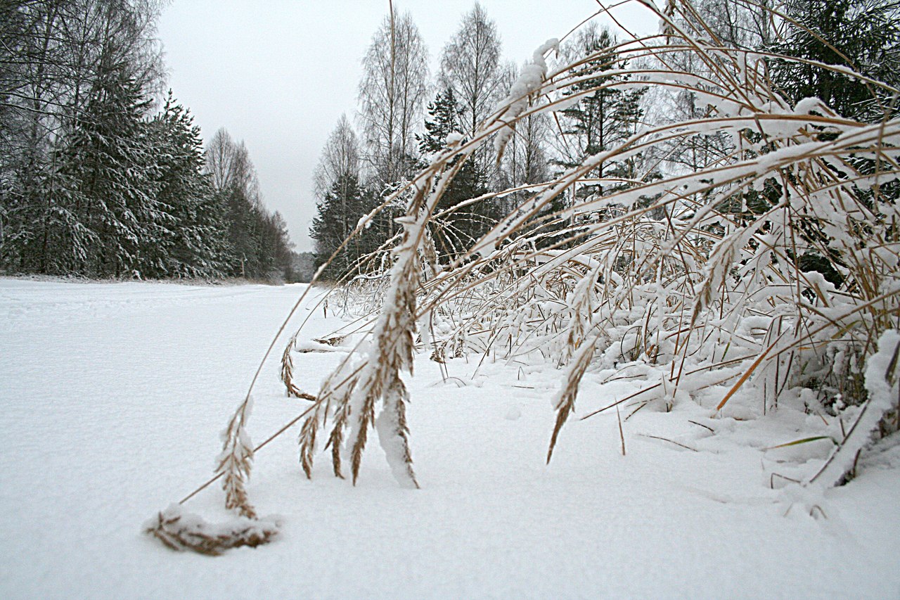 Выпал снег-2