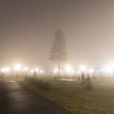 Туманный Саров 07.jpg