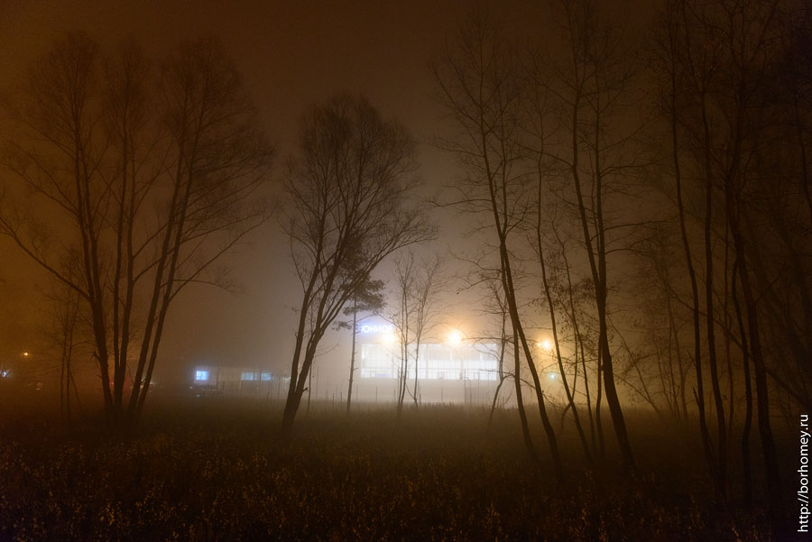 Туманный Саров 10.jpg