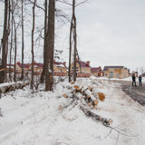 2016-02-13 - Вырубка леса под дорогу к КПП-4