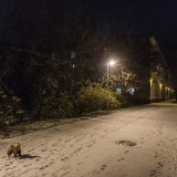 2016-10-30 - Первый снег
