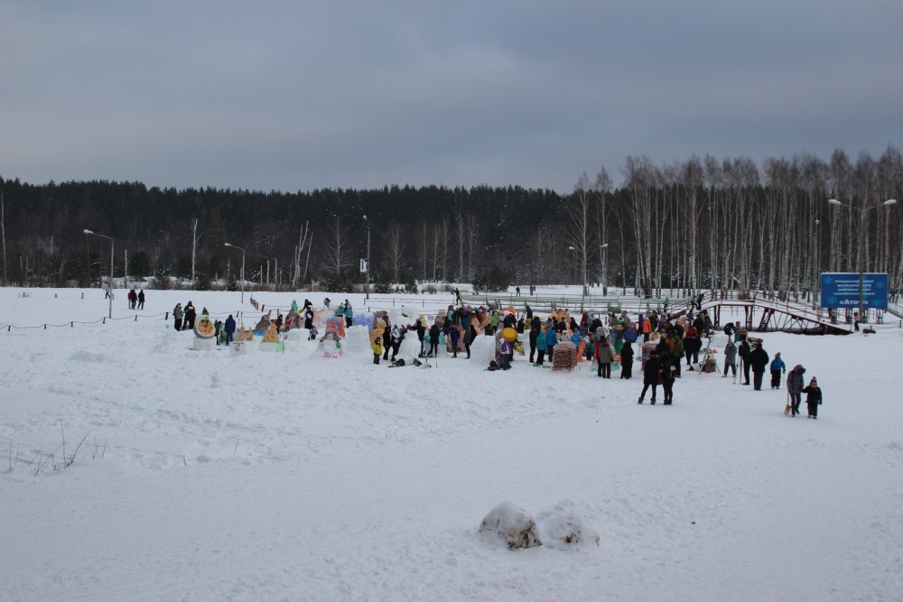 День снега первый - 37.jpg