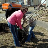 Посадка аллеи в честь 55-летия г.Сарова