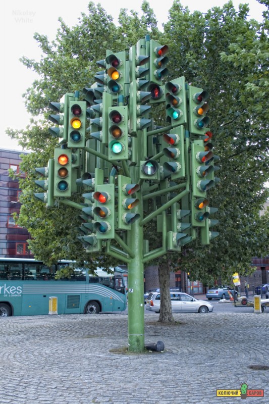 02-01 traffic lights tree Светофорное дерево