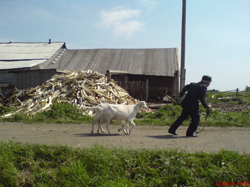 Быстро домой!