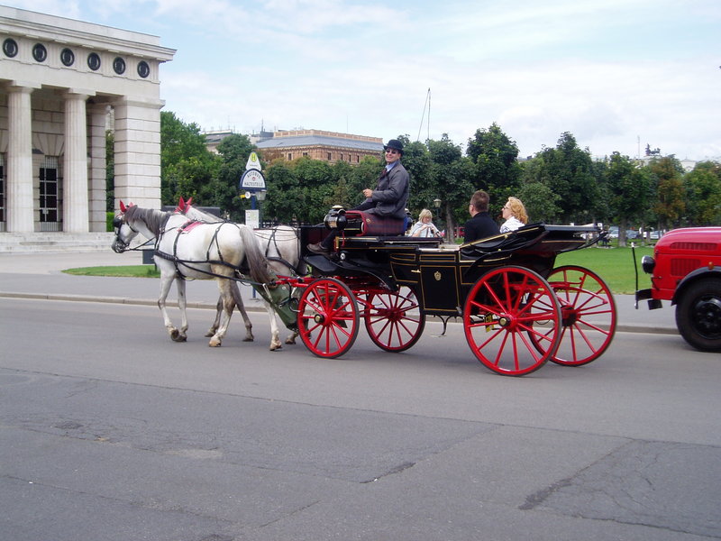 Улыбка кучера. Вена, Австрия.